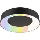Paulmann 75416 Plafondlamp LED 20 W Zwart (mat)