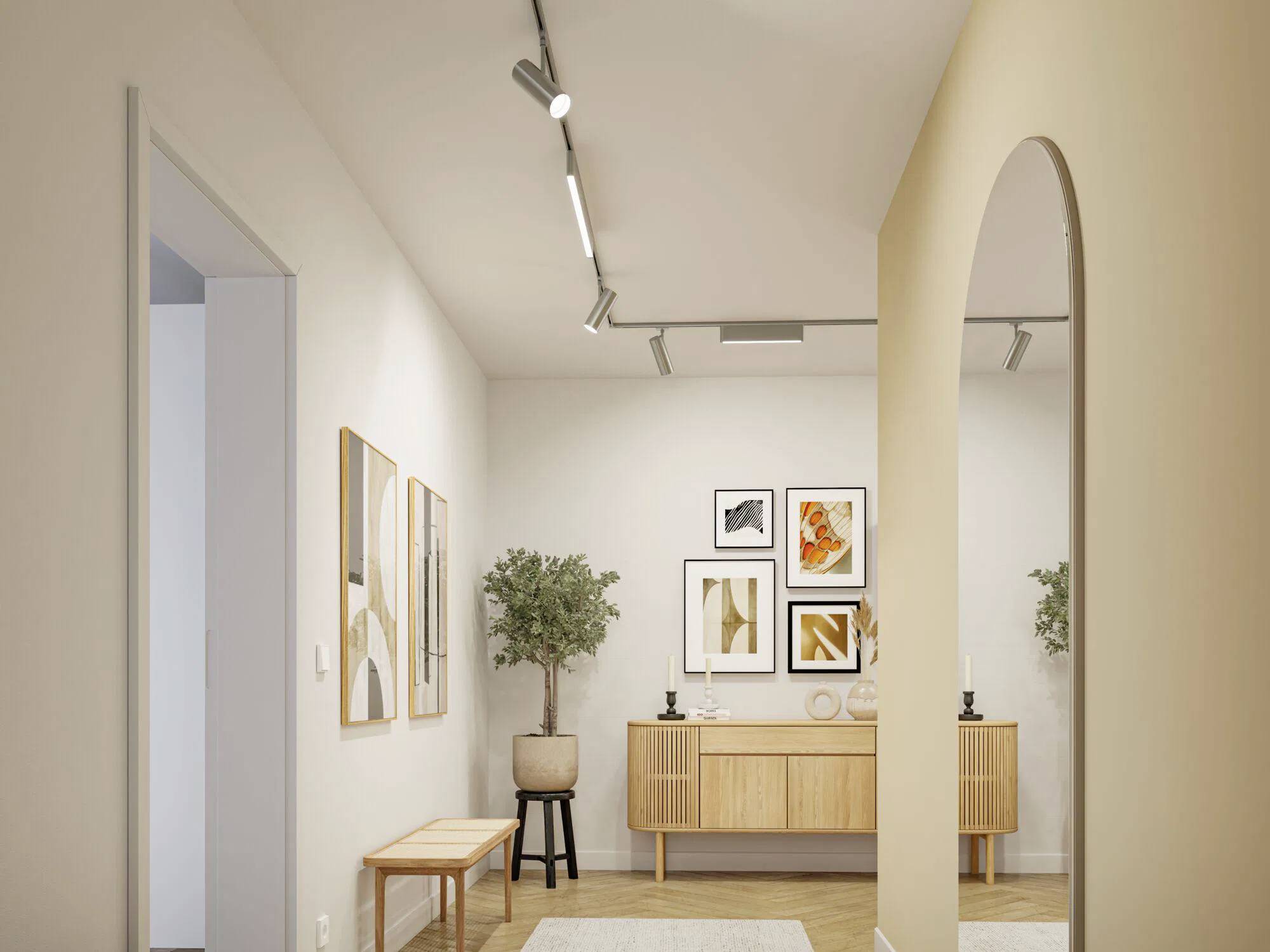 Een moderne hal met railverlichting, minimalistische decoratie en ingelijste kunstwerken aan de muur. Een houten kast en een potplant voegen warmte toe.