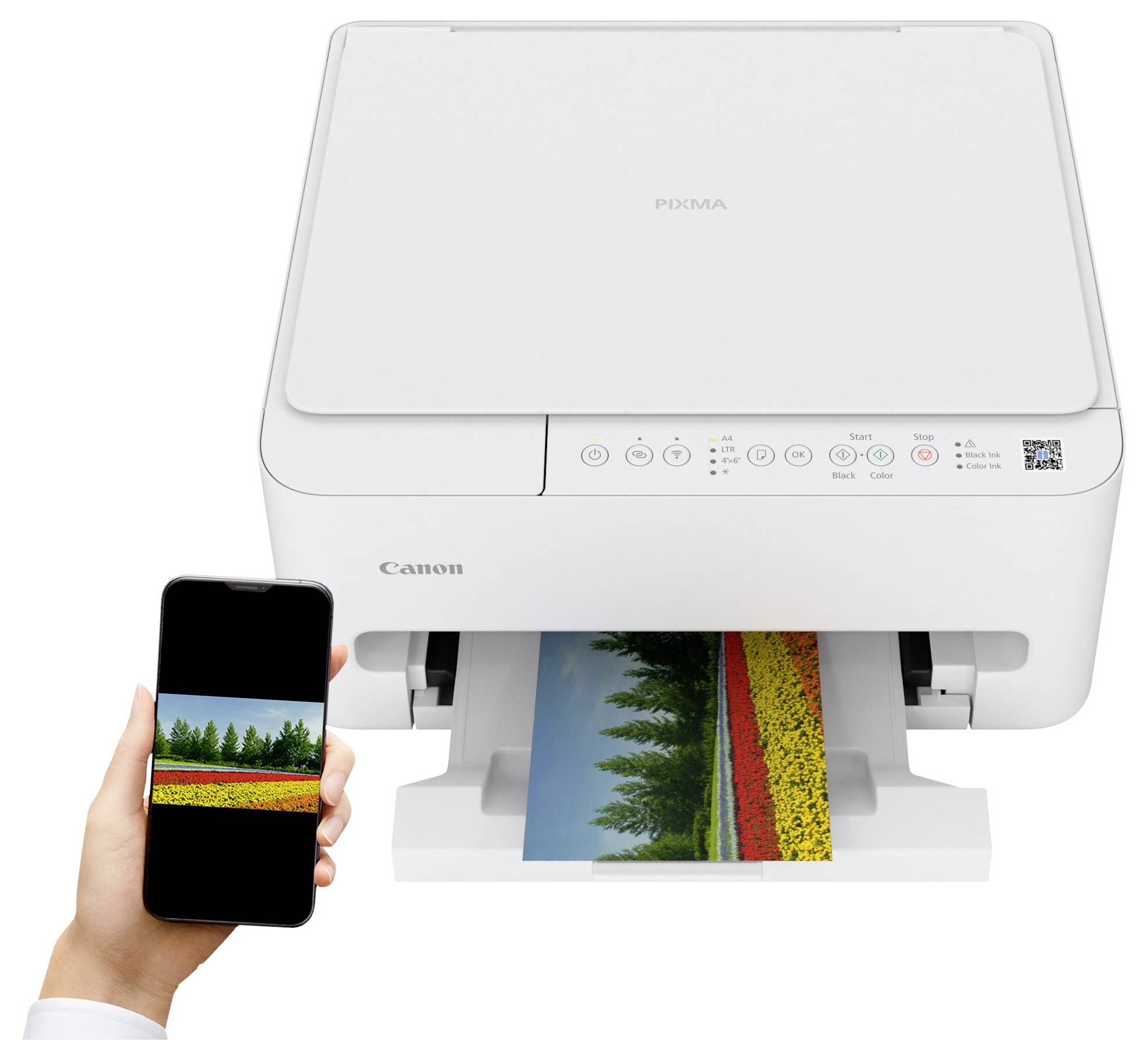 Een hand die een smartphone vasthoudt met een landschapsfoto, naast een Canon-printer die dezelfde afbeelding afdrukt.