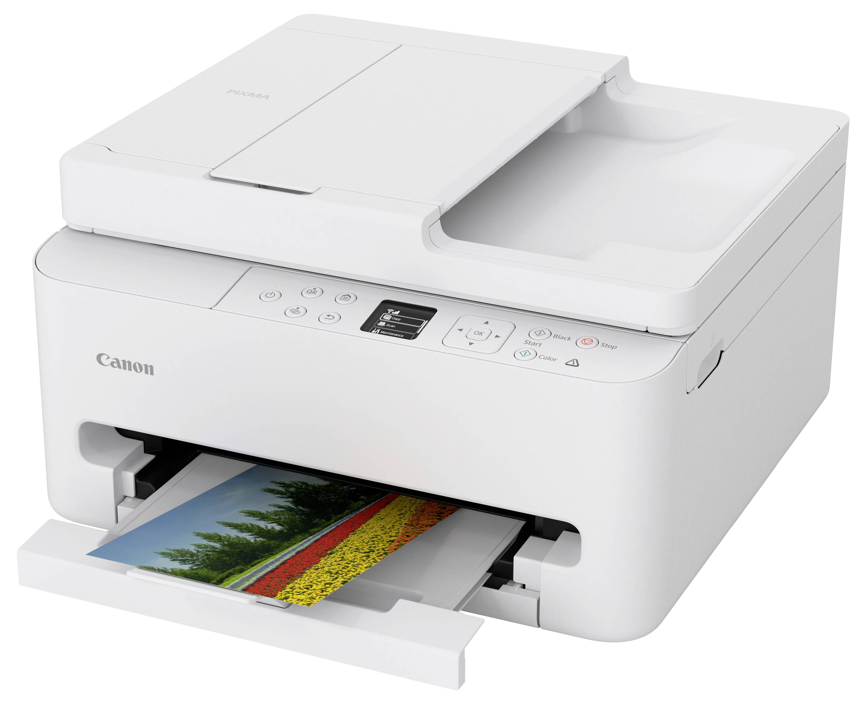 Een witte Canon-printer op een witte achtergrond, die een foto afdrukt met kleurrijke landschappen.