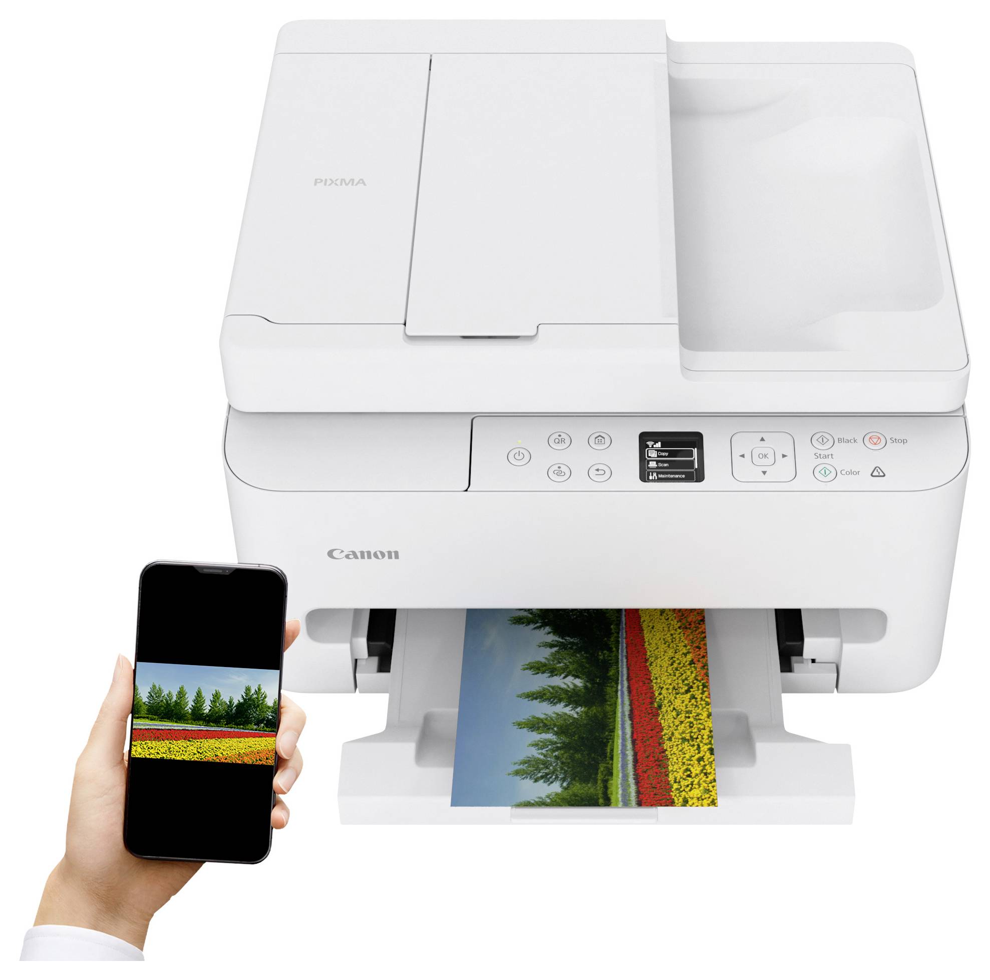 Een draadloze printer print een kleurrijke foto van een landschap terwijl deze verbinding maakt met een smartphone in iemands hand.