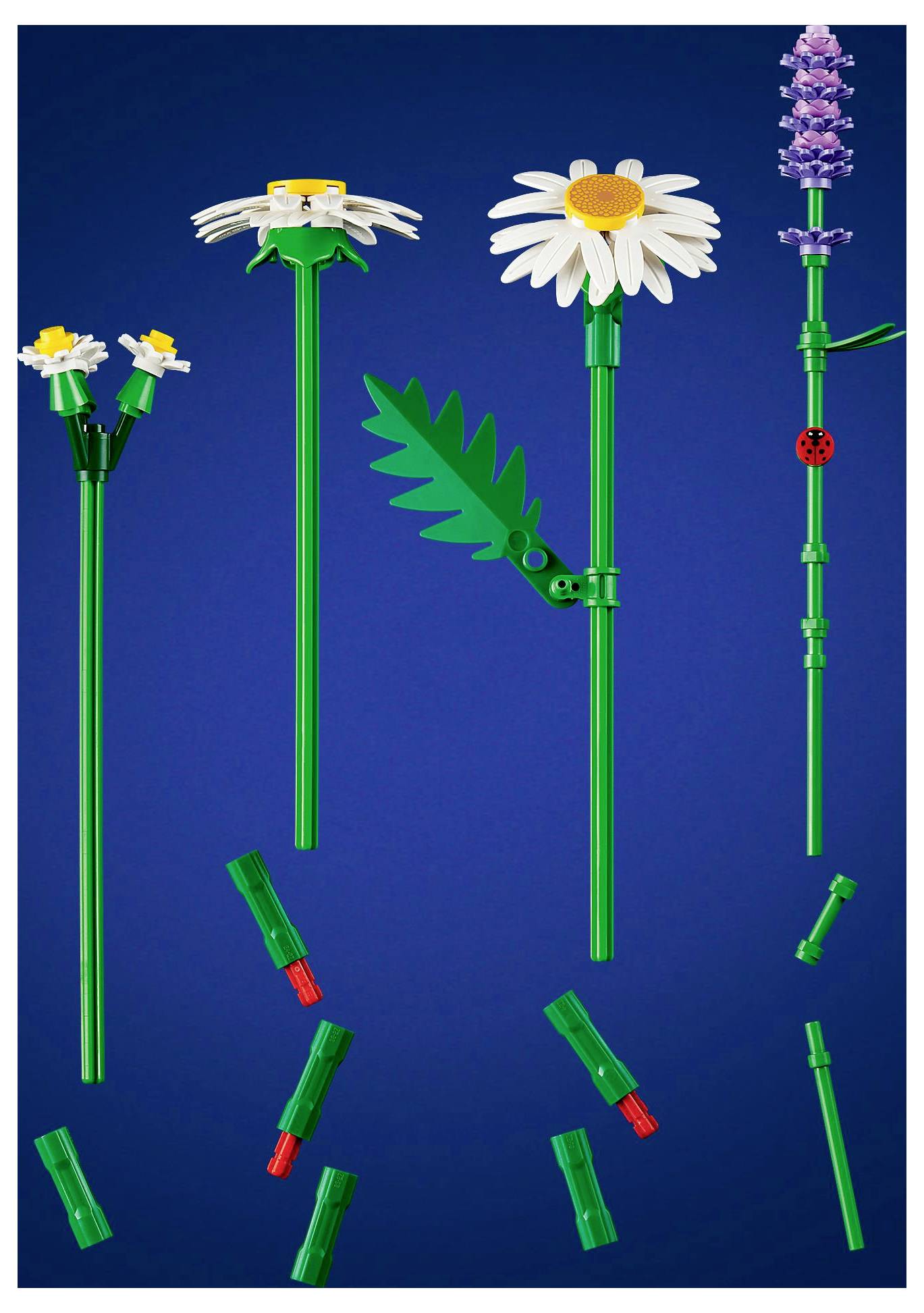 'LEGO Botanische Collectie' met madeliefje, lavendel en andere bloemenbouwsets tegen een blauwe achtergrond, met verwisselbare onderdelen.