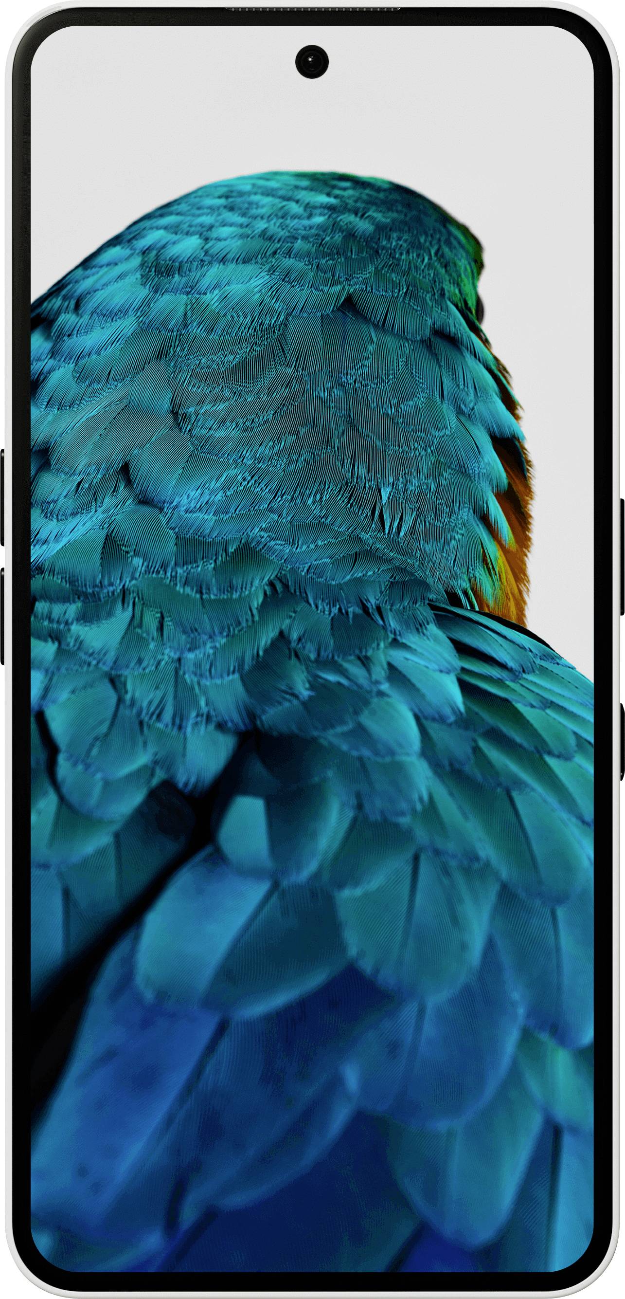 Smartphonescherm dat een levendig beeld vertoont van een vogel met turkoois en oranje veren, waarbij het volledige scherm wordt gevuld met gedetailleerde details.