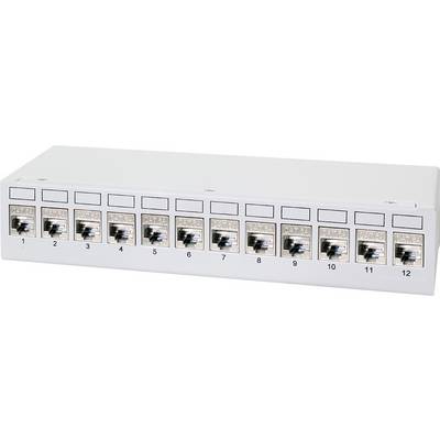 Netwerk patchpanel met twaalf gelabelde RJ45-poorten voor bekabelingsbeheer.