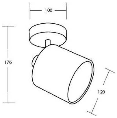 Technische tekening van een cilindrische spotlightfixuur met afmetingen: 100 mm breed, 176 mm hoog en 120 mm lang.