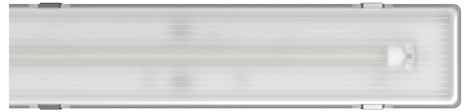 RIDI PFLO-R1X115/30DA LED-lamp voor vochtige ruimte-1