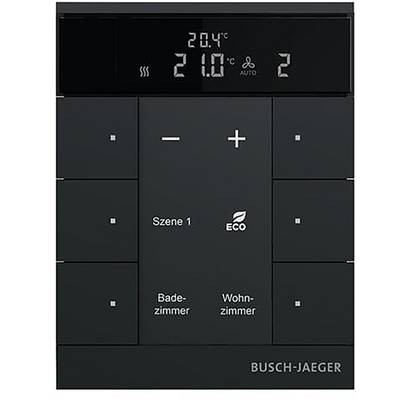 Busch-Jaeger KNX 2CKA006330A0034 Kamerthermostaat SBS/U6.0.11-885-0
