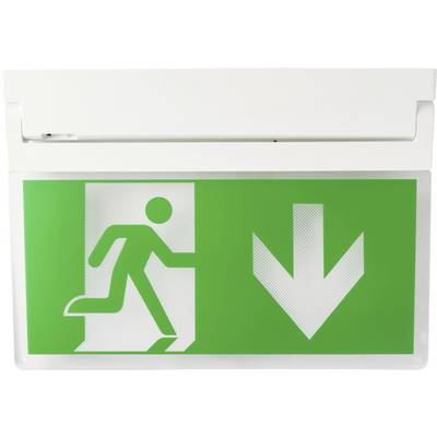 "Nooduitgang"-bord met een persoon die door een deur loopt en een pijl naar beneden wijzend, wat de richting voor evacuatie aangeeft.