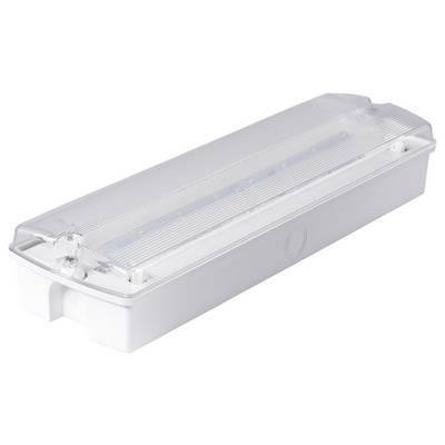 Rechthoekige LED-noodverlichting met een doorzichtig deksel, voorzien van een reeks kleine LED-lampen binnenin, ontworpen voor montage aan de wand of plafond.