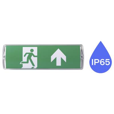 Nooduitgang-bord met een rennend figuur en een pijl die omhoog wijst. Blauw waterdrupsymbool met 'IP65' dat waterdichtheid aangeeft.