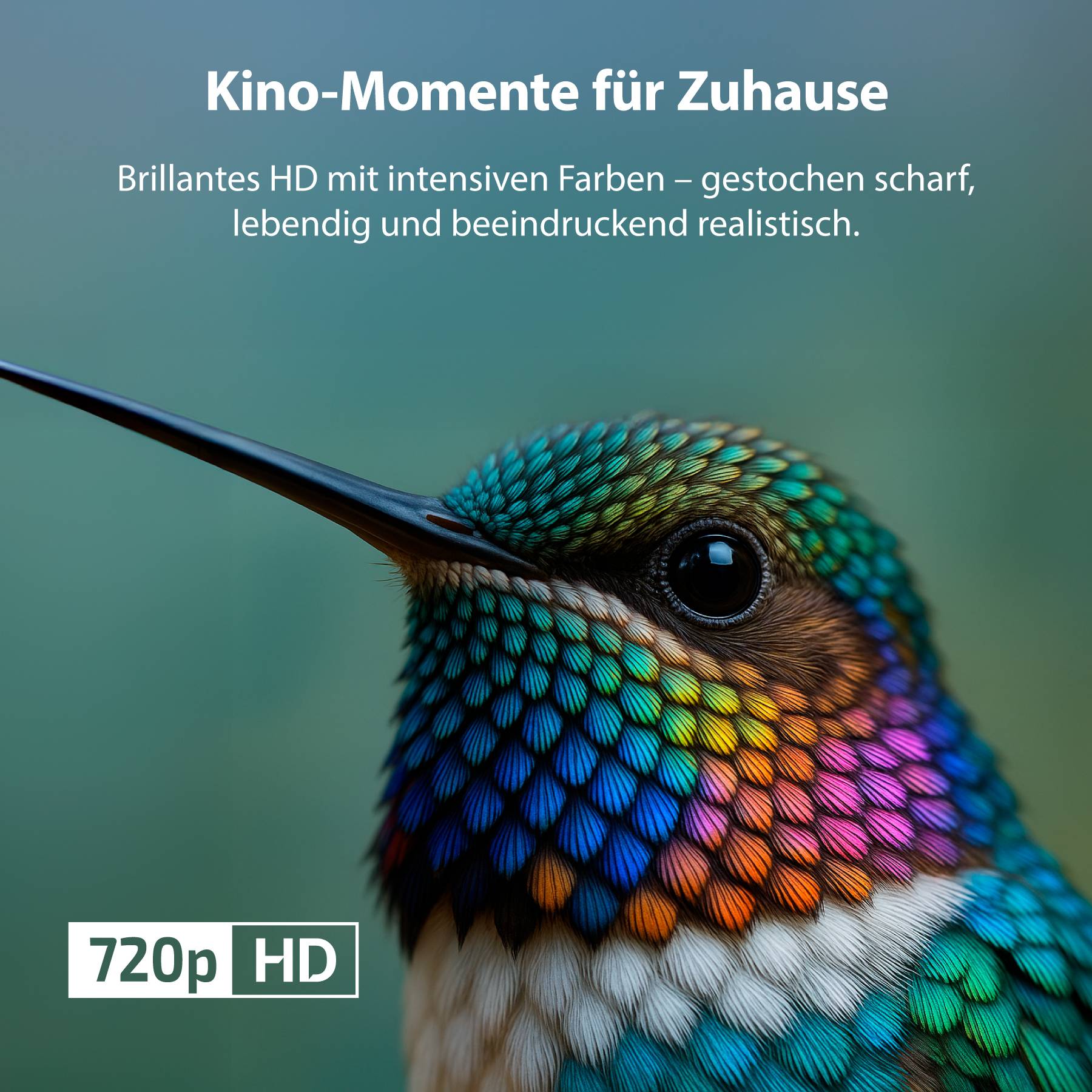 'Bioscoop-momenten thuis' toont close-up van een vogel met veelkleurige veren, tekst benadrukt de briljante HD-kwaliteit.