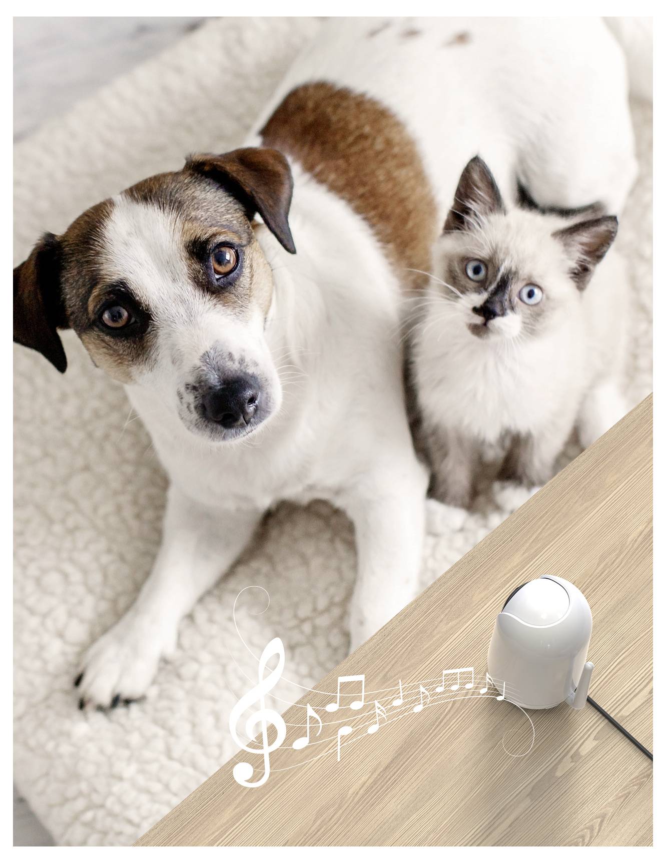 Een hond en een kat op een vloerkleed naast een houten tafel met een slimme speaker. Muzieknoten en een vioolsleutel verschijnen, wat suggereert dat er muziek wordt afgespeeld.
