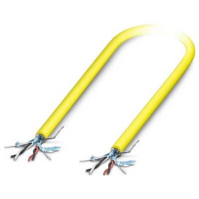 Phoenix Contact 25 m Kabel met open einden 1 stuk(s) PSR-M-CABLE25 Geschikt voor sensoren: Phoenix Contact PSR-M-TBUS-0