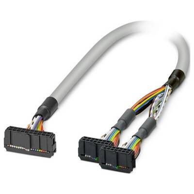 Een kabel met gelabelde gekleurde draden die aan twee zwarte kunststofconnectoren zijn bevestigd, doorgaans gebruikt voor elektronische of computersystemen.