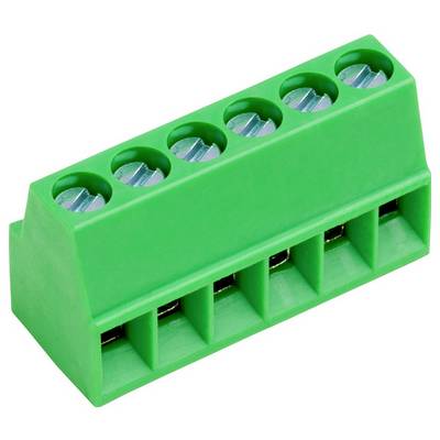 Een groen elektriciteitsblok met zes aansluitingspunten, gebruikt voor het verbinden van elektrische draden, geïsoleerd op een witte achtergrond.