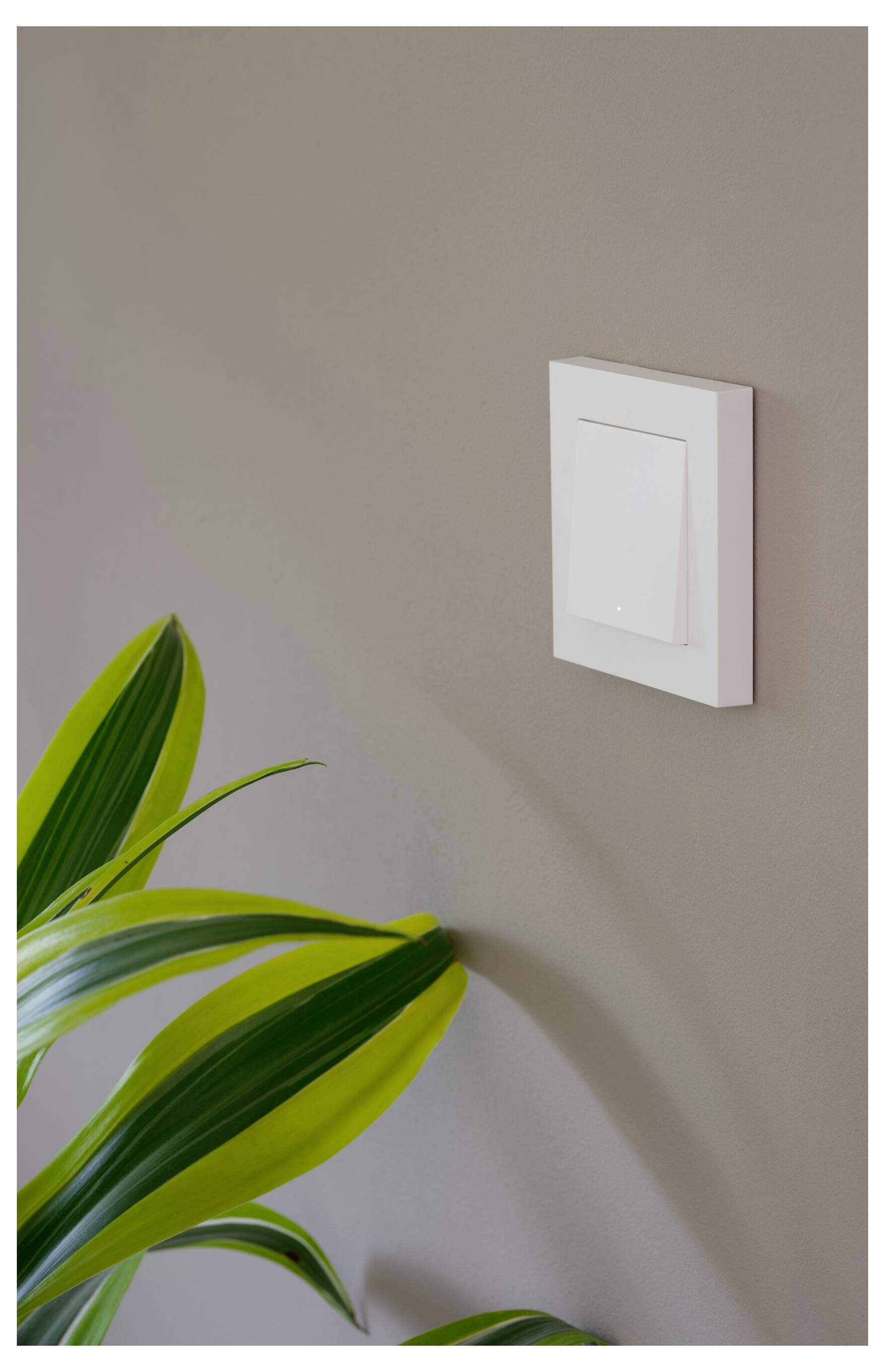 Een witte lichtschakelaar op een gladde muur met een groene plant op de voorgrond, wat moderne interieur decoratie benadrukt.