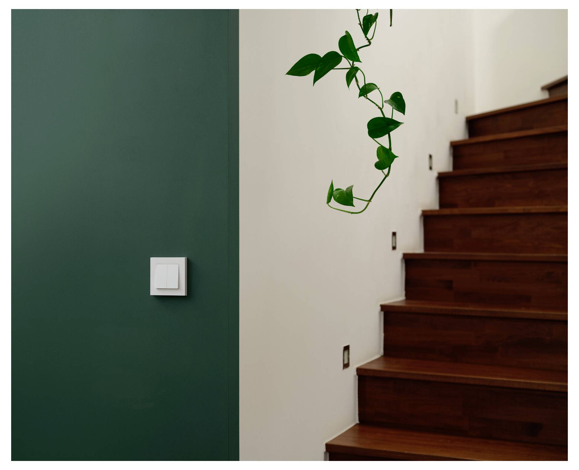 Een enkele lichtschakelaar op een groene muur naast een houten trap met slanke plantranken die langs de muur groeien.