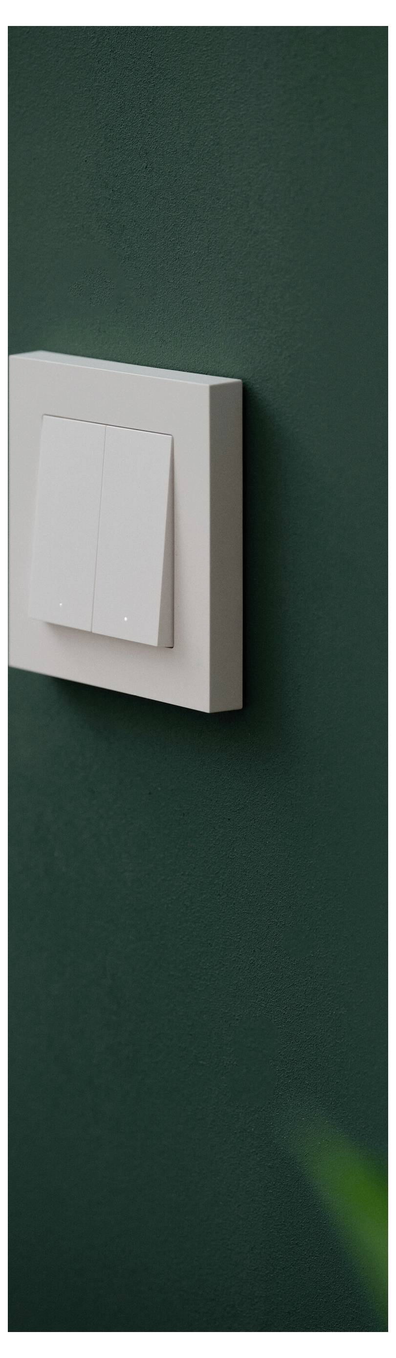 Lichtschakelaar met twee witte schakeltoggels op een donkergroene muur.
