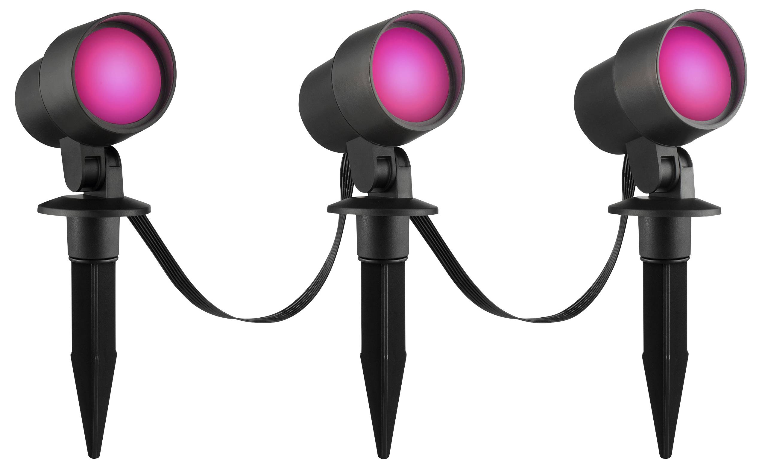 'Drie verbonden buitenste LED-schijnwerpers met roze licht op pinnen voor tuin- of landschapsverlichting.'