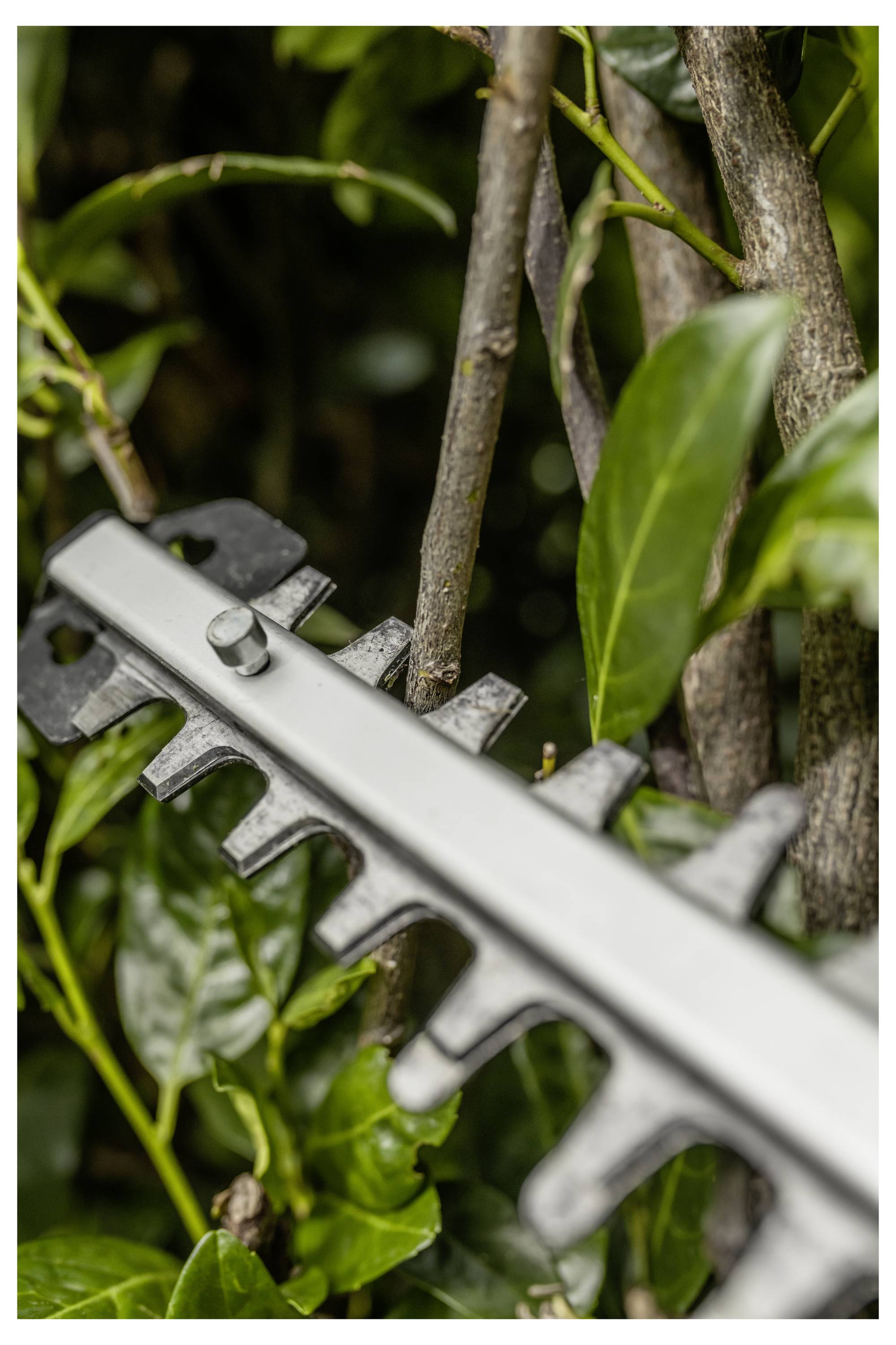 Kärcher Home & Garden PHG 2-18 Accu-heggenschaar Accu Zonder accu, Zonder lader, In hoogte verstelbare greep 18 V 450 mm-10