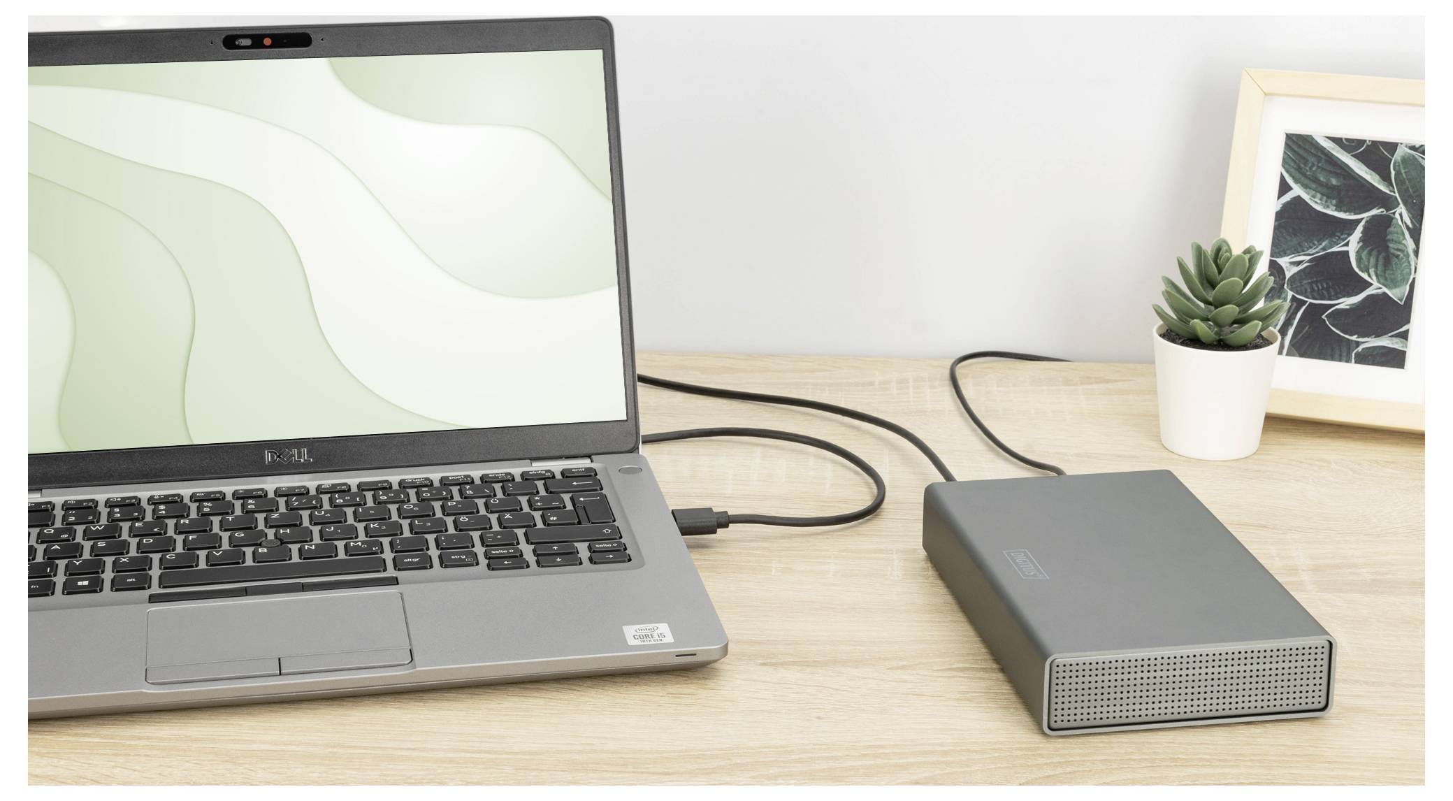 Een laptop verbonden met een externe harde schijf op een houten bureau, met een ingelijste bladprint en een kleine potje vetplant ernaast.