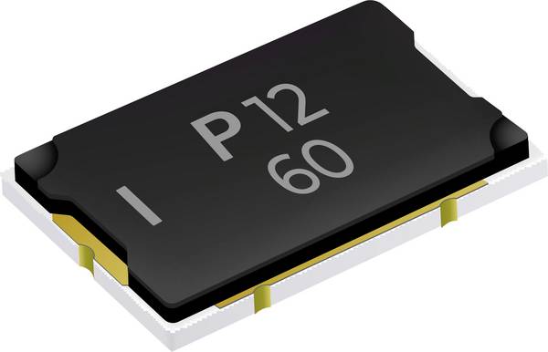 Polytronics Technology CLM3820P3060F  SMD-zekering      1 stuk(s)