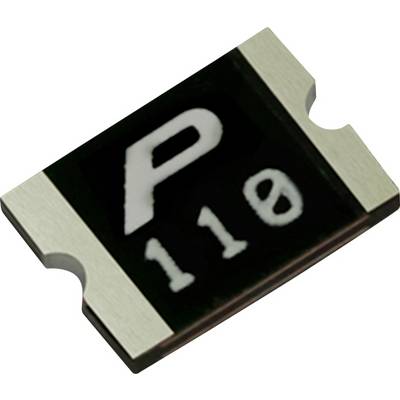 Een zwart rechthoekig elektronisch onderdeel met metalen randen en witte markeringen: 'P 110'.