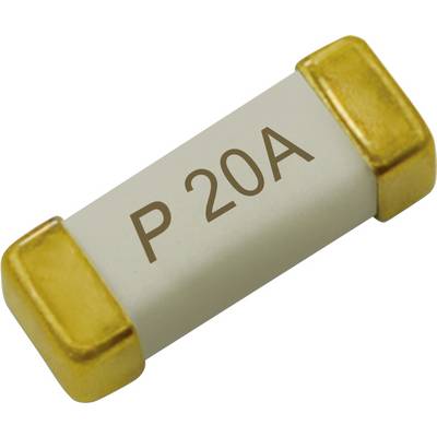 Een kleine cilindrische zekering met goudkleurige eindkappen gelabeld 'P 20A', wat een stroomsterkte van 20 ampère aangeeft.
