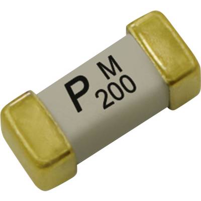 'Een PM 200-zekering met vergulde aansluitingen, ontworpen voor bescherming van elektrische circuits.'