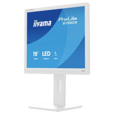 De afbeelding toont een iiyama ProLite B1980S monitor met een 19-inch LED-verlicht scherm.