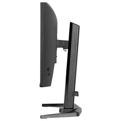 Een 32-inch iiyama G-Master monitor met 2560x1440 resolutie, IPS-display, 240Hz verversingsfrequentie, weergegeven met 'Gold Phoenix' achtergrond.