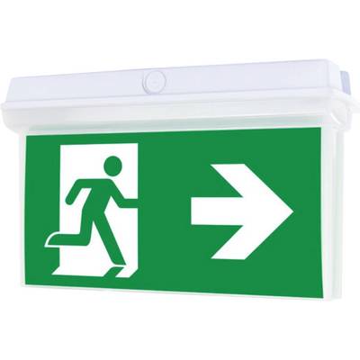 'Nooduitgang bord met groene achtergrond, met daarop een persoon die naar rechts loopt naar een pijl die naar rechts wijst.'