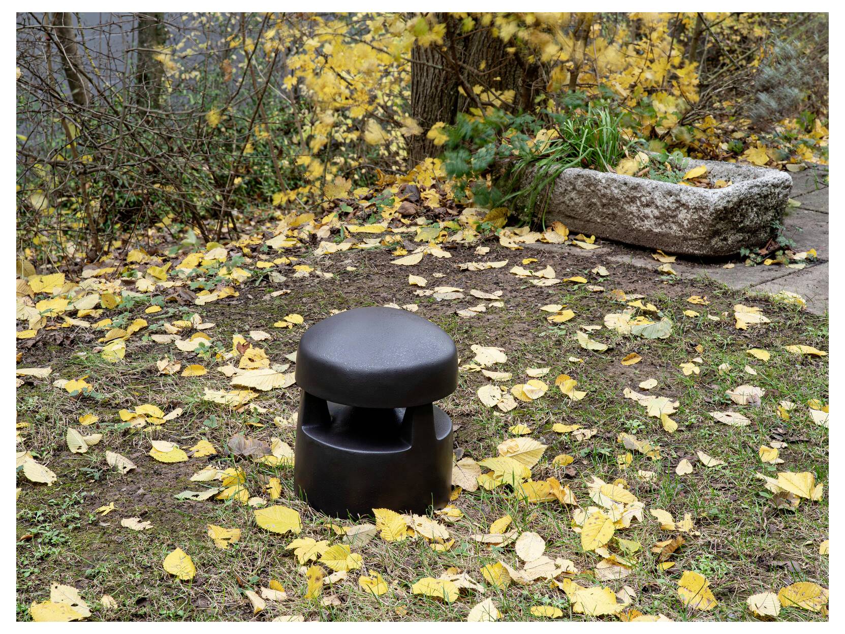 Een klein zwart krukje staat op een grasstrook omgeven door gevallen gele bladeren in een tuinomgeving met een stenen plantenbak in de buurt.