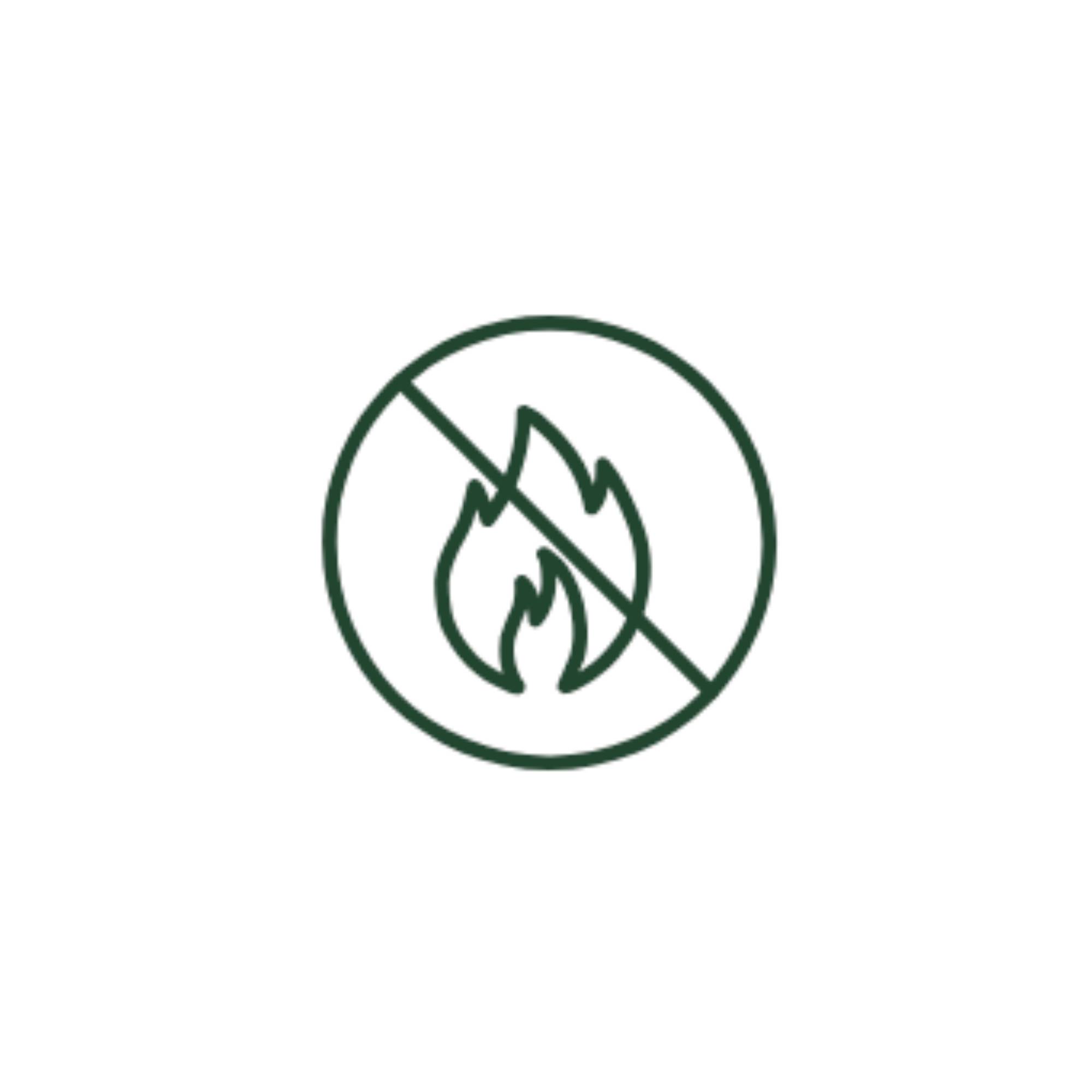 'Geen open vlammen'-symbool: een vuurpictogram in een cirkel met een diagonale lijn erdoorheen, wat aangeeft dat open vlammen verboden zijn.