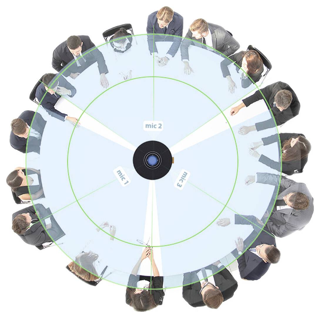 'Bovenaanzicht van een vergadering met 12 personen in een cirkel zittend, in discussie. Centrale overlay toont microfoonverdeling met segmenten voor microfoon 1, 2 en 3.'