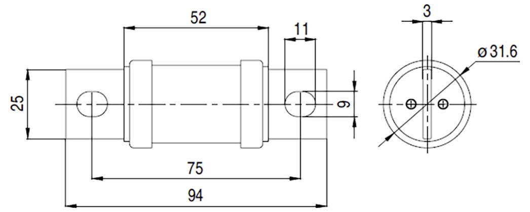 Technische tekening van een cilindrisch object met aangegeven afmetingen. Vooraanzicht toont een horizontale cilinder met een lengte van 94 eenheden en een diameter van 25 eenheden. Eindaanzicht toont een cirkel met een diameter van 31,6 eenheden.