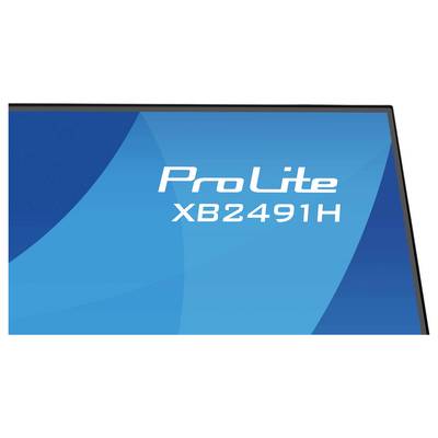 Monitor scherm met de tekst 'ProLite XB2491H' weergegeven tegen een blauwe achtergrond.