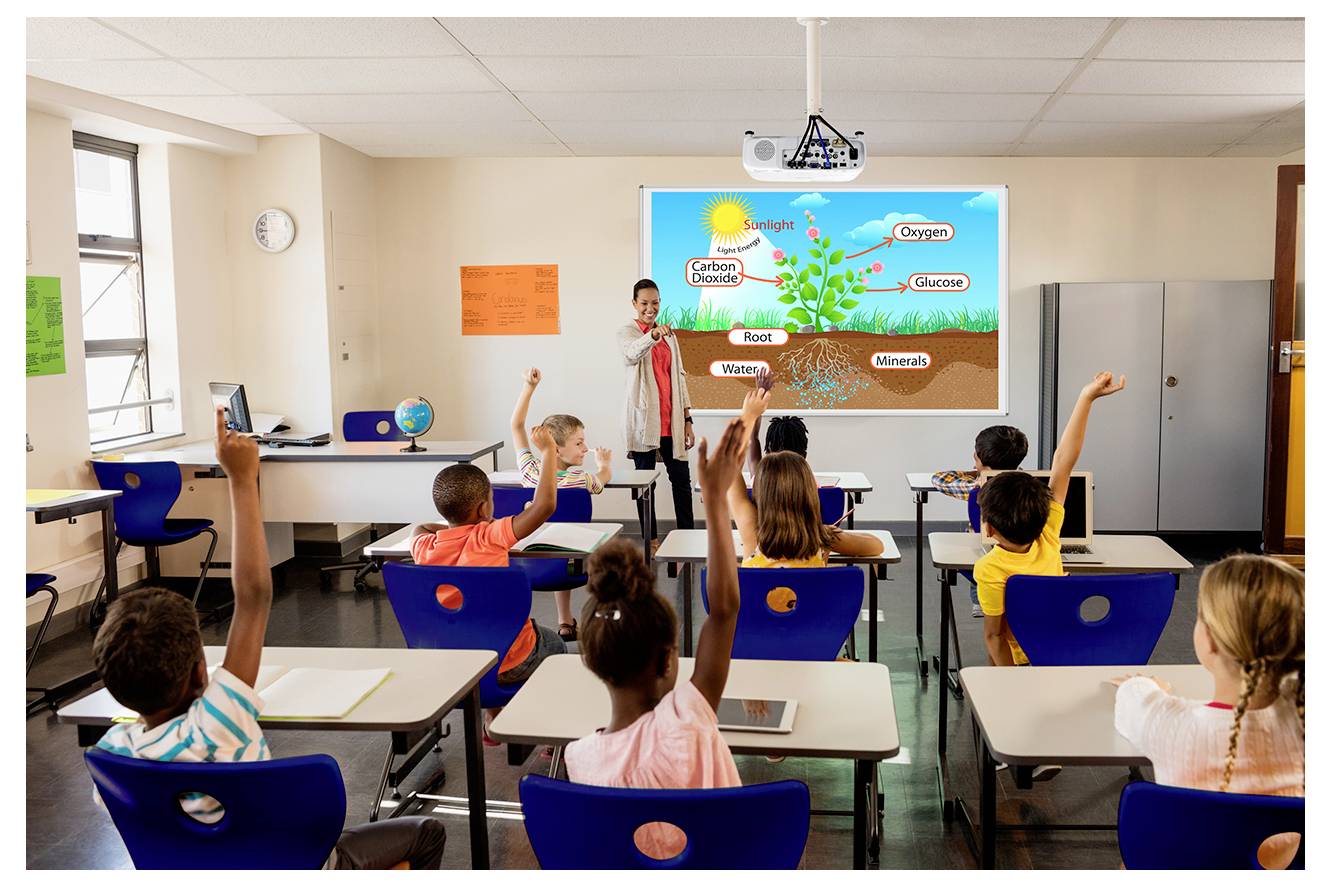 Leraar legt fotosynthese van planten uit aan basisschoolleerlingen in een klaslokaal, met een diagram met zonlicht, koolstofdioxide, water, zuurstof, glucose, wortels en mineralen.