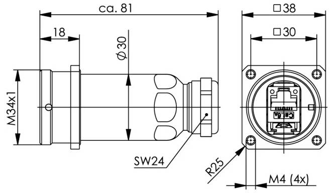 Technische dimensioentekening van een cilindrische connector, met zij- en vooraanzichten met afmetingen zoals ca. 81, Ø30, □38, M34x1, SW24, R25, en M4 (4x).