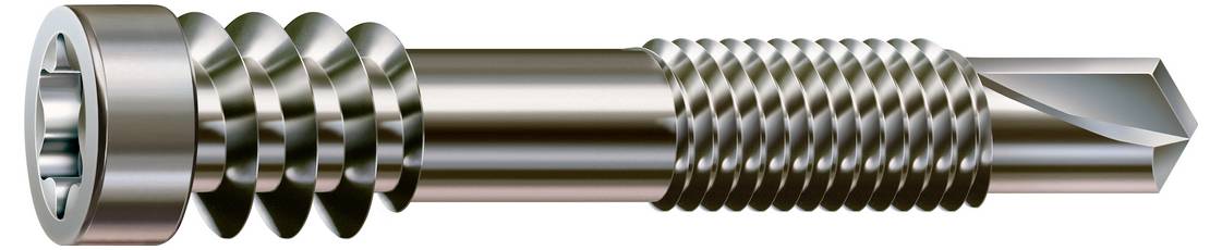 Een metalen schroef met een cilindrisch kopje, brede schroefdraad aan het ene uiteinde, fijne draad aan het andere uiteinde, en een puntig tip.