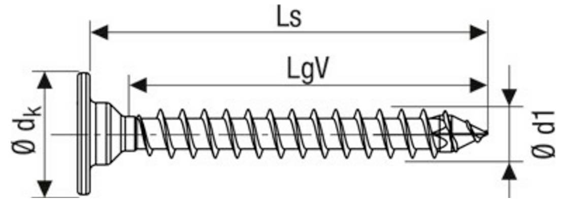 Technische tekening van een schroefverbinding met aangegeven afmetingen Ls, LgV, dk en d1, waarop kop, schacht en scherpe punt zijn weergegeven.