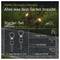 Promotionele afbeelding voor STEINEL 24V tuinverlichting starterset, met twee schijnwerpers en inbegrepen items: 2 spot tuinC 24V, 1 kabel 2,5 m, 1 T-connector, 1 35 W voeding.