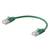 Groene Ethernet-patchkabel met RJ45-aansluitingen aan beide uiteinden, gebogen op een witte achtergrond.