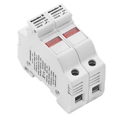 Wit tweepolige elektrische stroomonderbreker met rode indicatorvensters en aansluitopeningen, geïsoleerd op een witte achtergrond weergegeven.