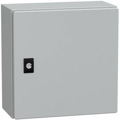 Schneider Electric NSYCRN33150 Deur 300 x 300 x 150 Staal Grijs 1 stuk(s)-0