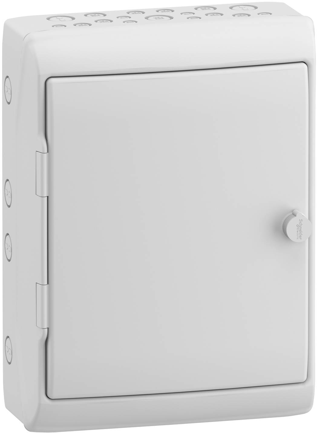 Schneider Electric 13195 13195 Wandbehuizing Inhoud: 1 stuk(s)-0