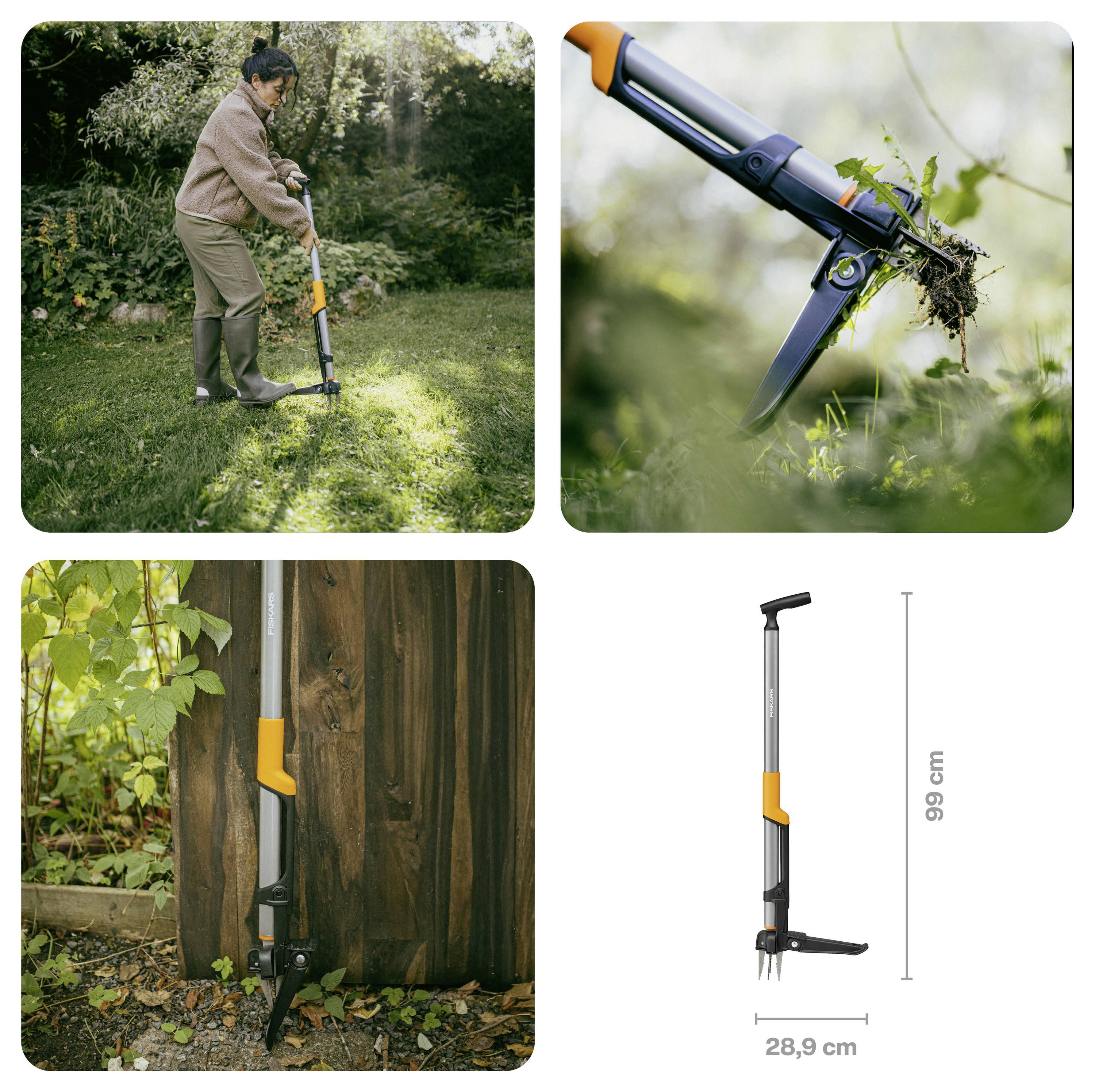 Collage met een tuinman die een lang handvat onkruidverwijderaar gebruikt om onkruid te trekken, close-up van het gereedschap dat wortels vastgrijpt, en productafmetingen gelabeld 99 cm hoog en 28,9 cm breed.