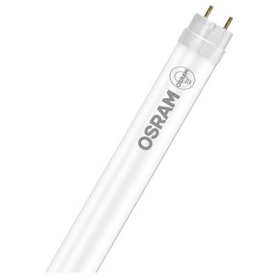 Witte OSRAM fluorescentiebuislampen met twee-pins connector, diagonaal weergegeven op een effen witte achtergrond.