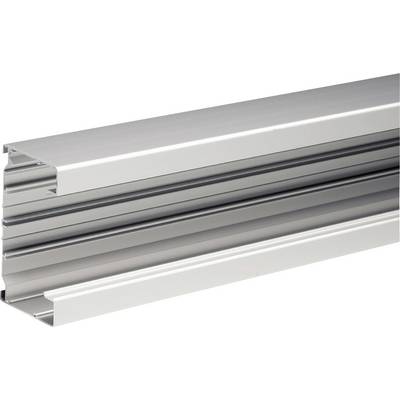 Zilver aluminium extrusionprofiel met meerdere groeven, afgebeeld op een witte achtergrond.