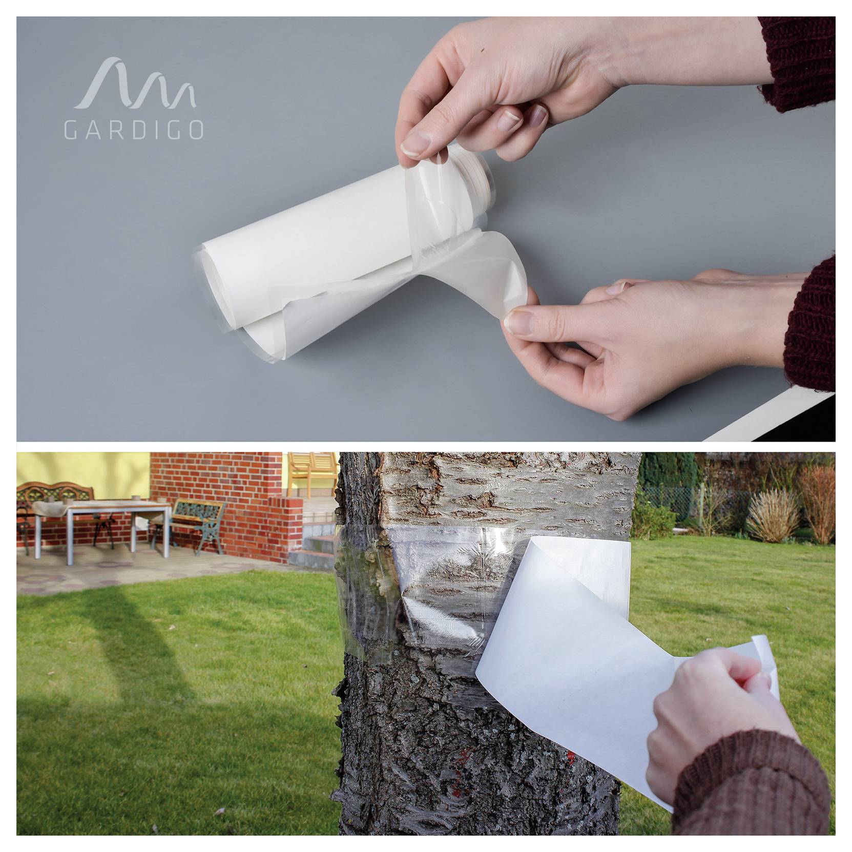 Handen pellen een transparant kleefstofblad van een witte cilinder af; hieronder wordt het blad op een boomstam aangebracht om de schors buiten te beschermen of te repareren.